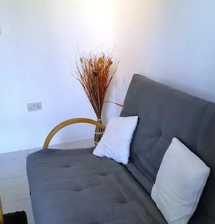 Robert Naudi Street Apartment